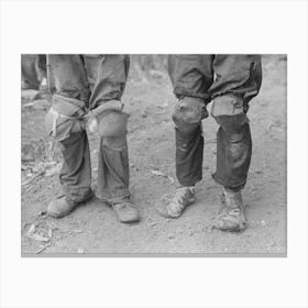 Cotton Pickers With Knee Pads, Lehi, Arkansas By Russell Lee 1 Canvas Print