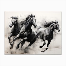 Modern Vintage Horse Sketch Canvas Print