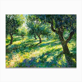 Olive Grove 5 Canvas Print