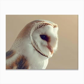 Barn Owl 10 Canvas Print