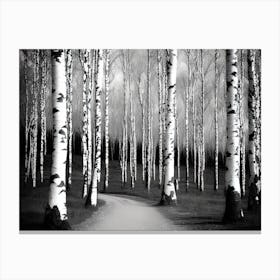 Birch Forest 123 Canvas Print