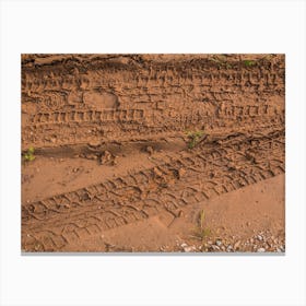 Texture Of Wet Brown Mud With Car Tyre Tracks And Shoe Footprint Canvas Print