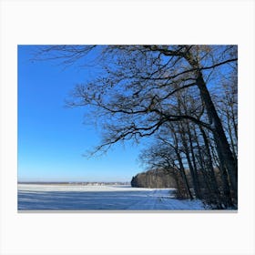 Winter Landscape 12 Canvas Print