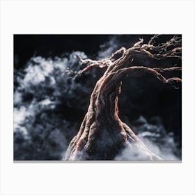 Tree Of Life 31 Canvas Print