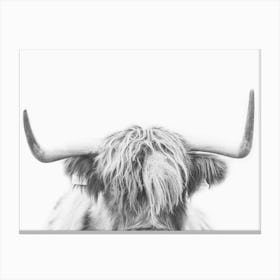 Highland Cow Horns Canvas Print
