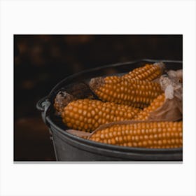 Corn On The Cob Canvas Print