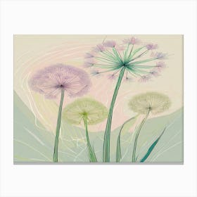 Allium 21 Canvas Print