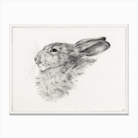 Head Of A Rabbit, Jean Bernard Canvas Print