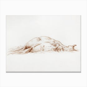 Lying Horse, Jean Bernard Canvas Print