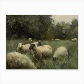 Sheep Grazing Canvas Print