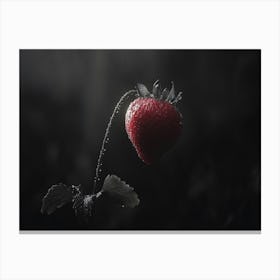 Strawberry In The Rain Canvas Print