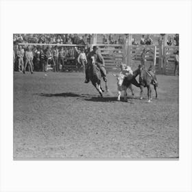 Wild Steer Wrestling At The Rodeo Of The San Angelo Fat Stock Show, San Angelo, Texas By Russell Lee Canvas Print