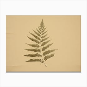 Vintage Fern Canvas Print