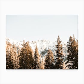 Snow Covered Mountain Forest Canvas Print