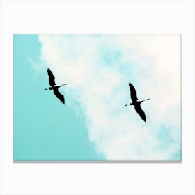 Cranes Canvas Print