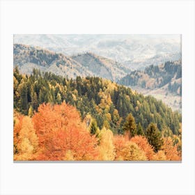 Autumn Forest Scenery Canvas Print