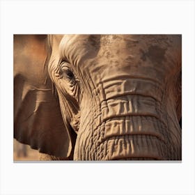 African Elephant Close Up Realism 3 Canvas Print