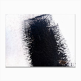 Black Paint On A Wall Canvas Print