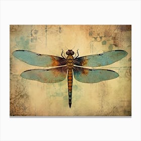 Dragonfly Vintage Style  Canvas Print