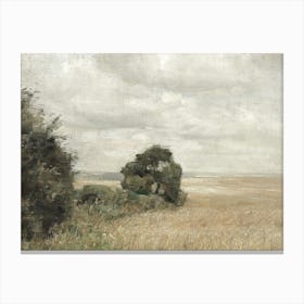 Field Of Wheat Carl Holsoe Canvas Print