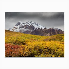 Autumn In Alaska Canvas Print