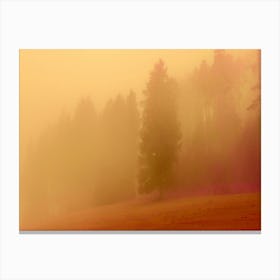 Foggy Morning in forest Canvas Print