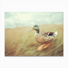 Fast Duck In The Grass Canvas Print