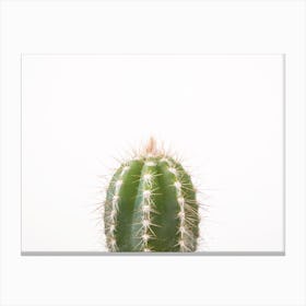 Petite Cactus Canvas Print