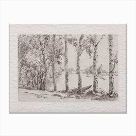 Grove Of Trees Canvas Print