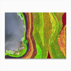 Aerial View Of A Colorful Field Canvas Print