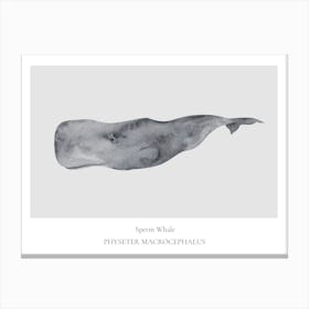 Sperm Whale Canvas Print