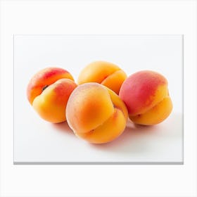 Apricots 18 Canvas Print