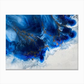 Graceful Release Canvas Print