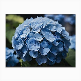 Blue Hydrangea paintings art print Canvas Print