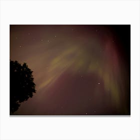 Aurora Borealis over Iowa Canvas Print