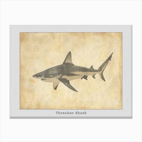 Thresher Shark Silhouette 7 Poster Canvas Print