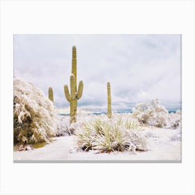 Arizona Winter Desert Snow Canvas Print