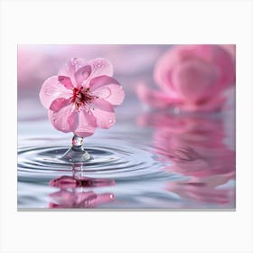 Water Droplets On A Pink Flower Canvas Print
