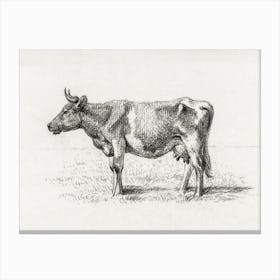 Standing Cow 4, Jean Bernard Canvas Print