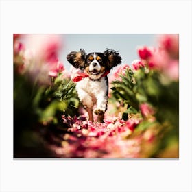 Cavalier King Charles Spaniel Running Through the Tulips - Belgium dog photo print - moody animal photography art Canvas Print