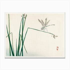 Dragonfly On Bulrush Leaf, Kōno Bairei Canvas Print