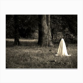 Ghost In The Woods Canvas Print