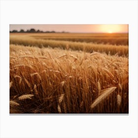 Sunset Over A Wheat Field Canvas Print