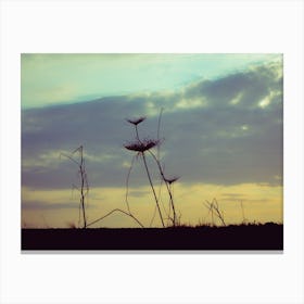 Silhouette Of Vegetation At Sunset Canvas Print