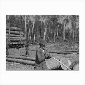 Untitled Photo, Possibly Related To Logs On Skidway Just Before Being Loaded On Railway Car, Near Effie, Minnesota By Canvas Print