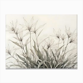 A Black And White Illustration Of A Cluster Of Delicate Flowers Canvas Print