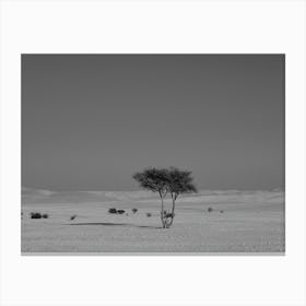 Alone In The Desert Canvas Print