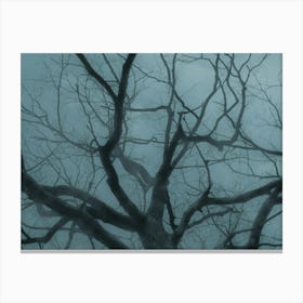 Bare Tree In Fog And Cold Light Canvas Print