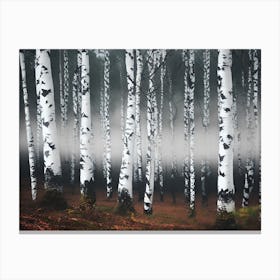 Birch Forest 78 Canvas Print
