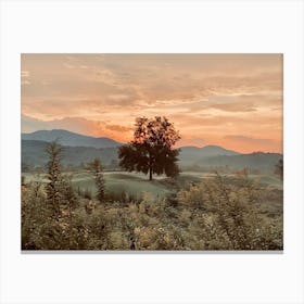 One Tree Hill at Sunset Canvas Print